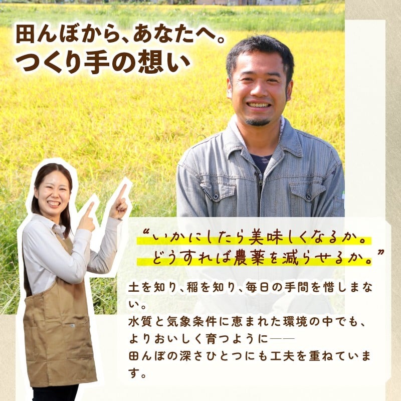 【定期便】令和7年産 新潟県産 コシヒカリ 5㎏×3か月 新潟県 新潟産 定期便 新潟米 新発田産 新発田 お米 米 そうえん米コシヒカリ 5kg 15kg 3か月 定期便 数量限定 とんとん市場 せいだ 新潟県 新発田市 D38_04