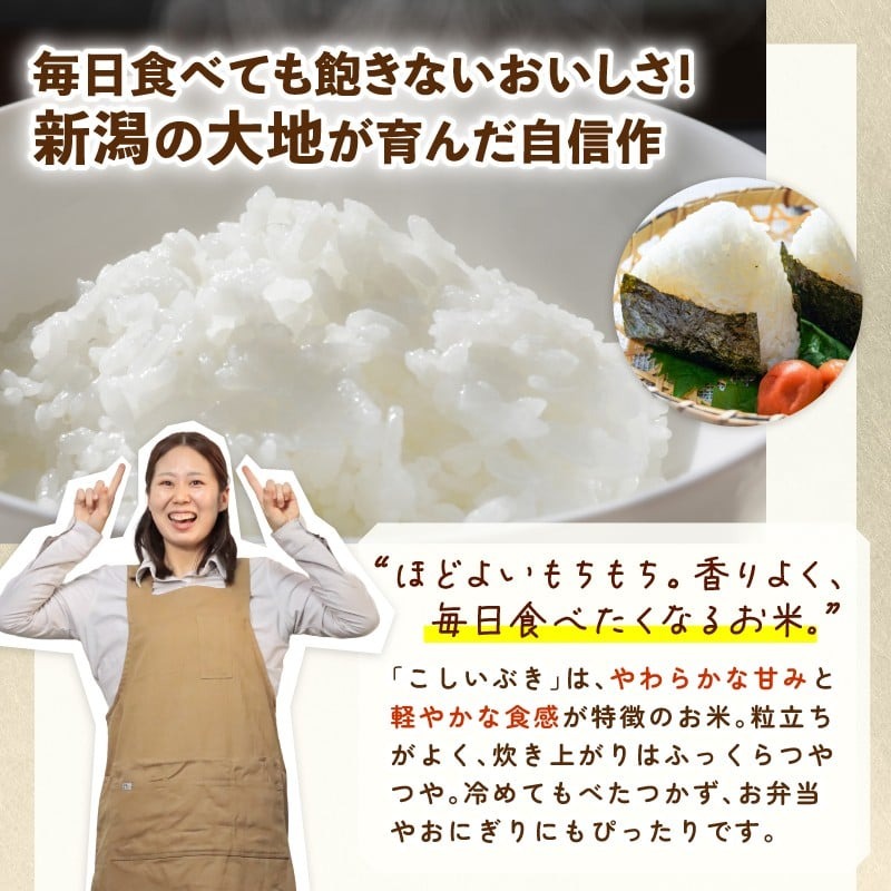 【定期便】 令和7年産 新潟県産こしいぶき 5㎏×3か月 【 新潟県 新潟産 新潟米 新発田産 新発田 お米 米 こしいぶき とんとん市場 せいだ 5kg 15kg 3か月 定期便 数量限定 玄米 D58_04 】