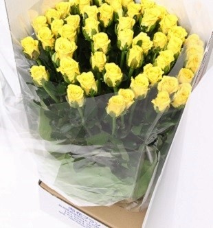 生産者直送！バラの花束 お任せ同系色50本 【 バラ 生花 花束 フラワーアレンジメント 記念日 母の日 父の日 ギフト プレゼント 花 50本 同色系 G04 】