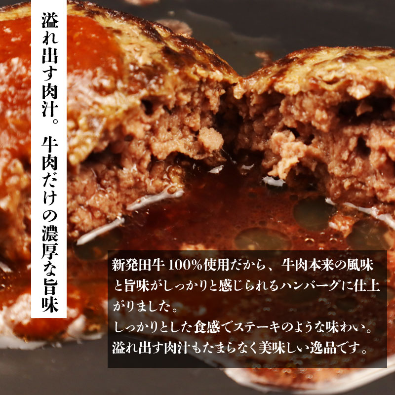 国産 牛 100％使用 真空 生ハンバーグ 5個入 160×5個 計800g 先崎畜産 新発田牛 【肉 加工品 国産 牛 100% 手捏ね 手ごね 生 ハンバーグ 冷凍 5個  800g のし 熨斗 H21-02
