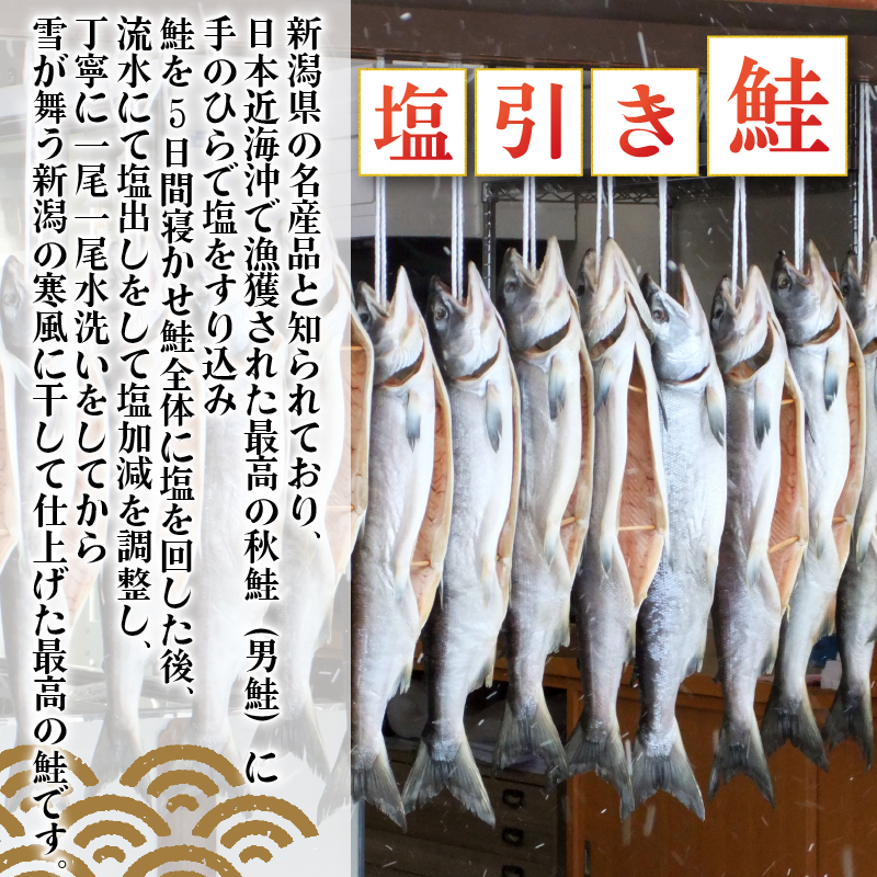 【鮭】切り身 約900g さけ サケ しゃけ シャケ 魚 さかな 惣菜 半身 贈答 真空パック ギフト 新潟 新発田 I36_04