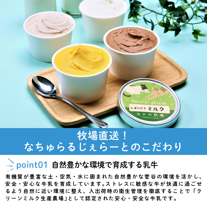 ジェラート 定期便 8個入 3回 ミルク チョコ ブルーベリー チーズ ピスタチオ 塩 キャラメル 塩キャラメル アイス ジェラート セット 季節 限定 季節限定 てづくり なちゅらるじぇらーと なかの牧場 8個 nakano008