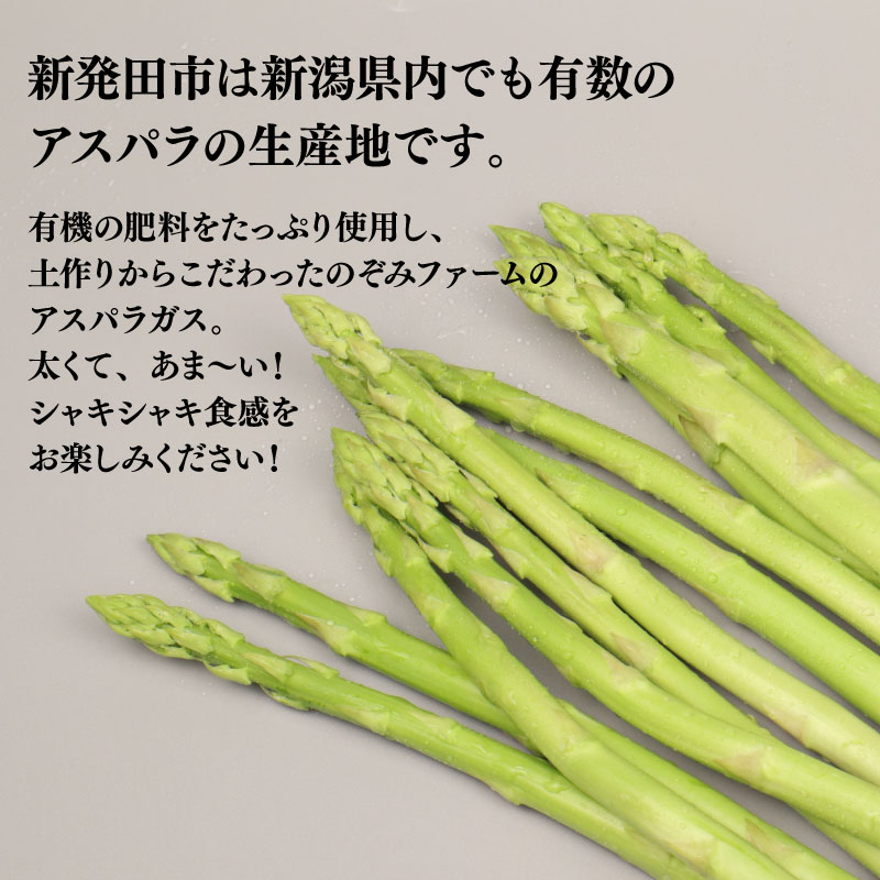 【先行予約】アスパラガス  1kg  約 40本	 野菜 旬 野菜 期間限定 数量限定 甘い 太い 柔らかい 特産品 nozofarm001