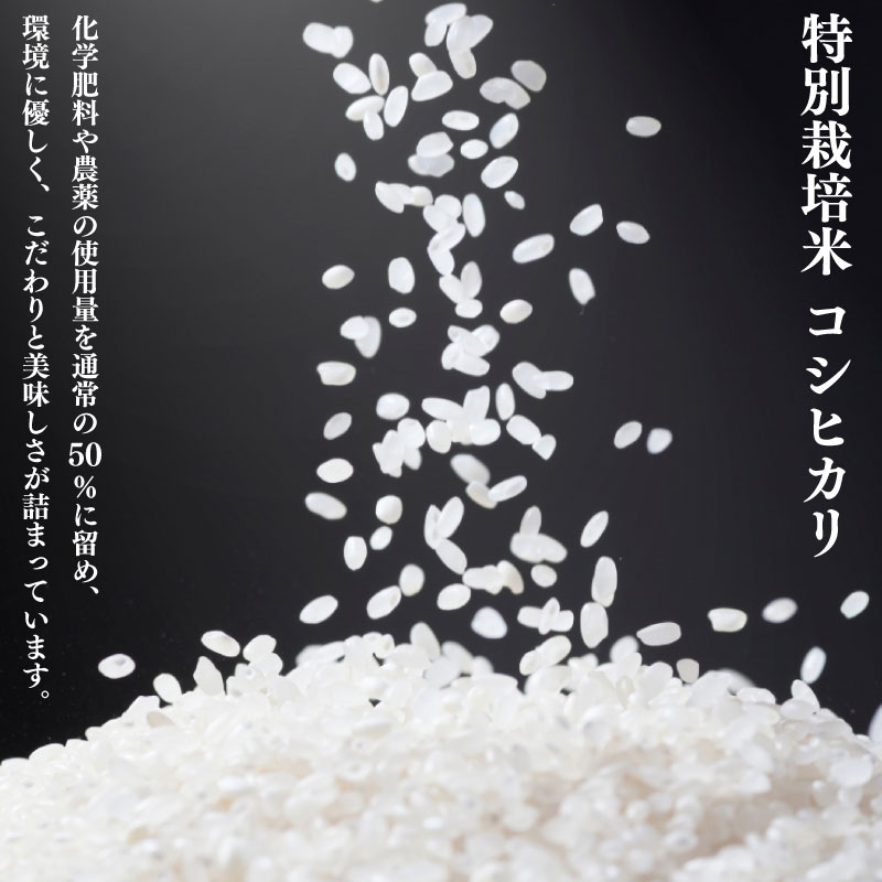 令和7年産 新潟県産 コシヒカリ 5kg 数量限定 特別栽培米 二王子米 新潟産 新潟米 新発田産 新発田 お米 米 kome 白米 ご飯 こめ ごはん ライス ふるさと納税米 コシヒカリ お弁当 食品 せいだ とんとん市場 ブランド米 人気米 玄米 新潟県 新発田市 seida002_02