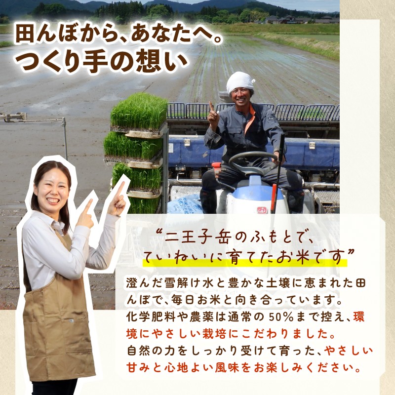 令和7年産 新潟県産 コシヒカリ 10kg 5kg×2袋 数量限定 特別栽培米 二王子米 新潟産 新潟米 新発田産 新発田 お米 米 kome 白米 ご飯 こめ ごはん ライス ふるさと納税米 コシヒカリ お弁当 食品 せいだ とんとん市場 ブランド米 人気米 玄米 新潟県 新発田市 seida003_02