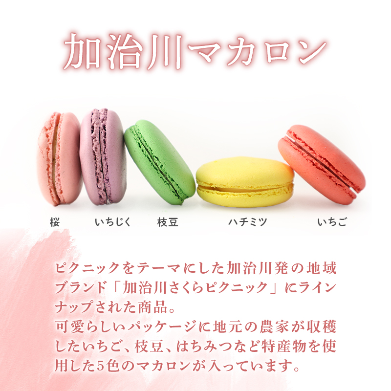 マカロンのページになります ベーシックマカロン18個セット(h5170188)｜フード(食品