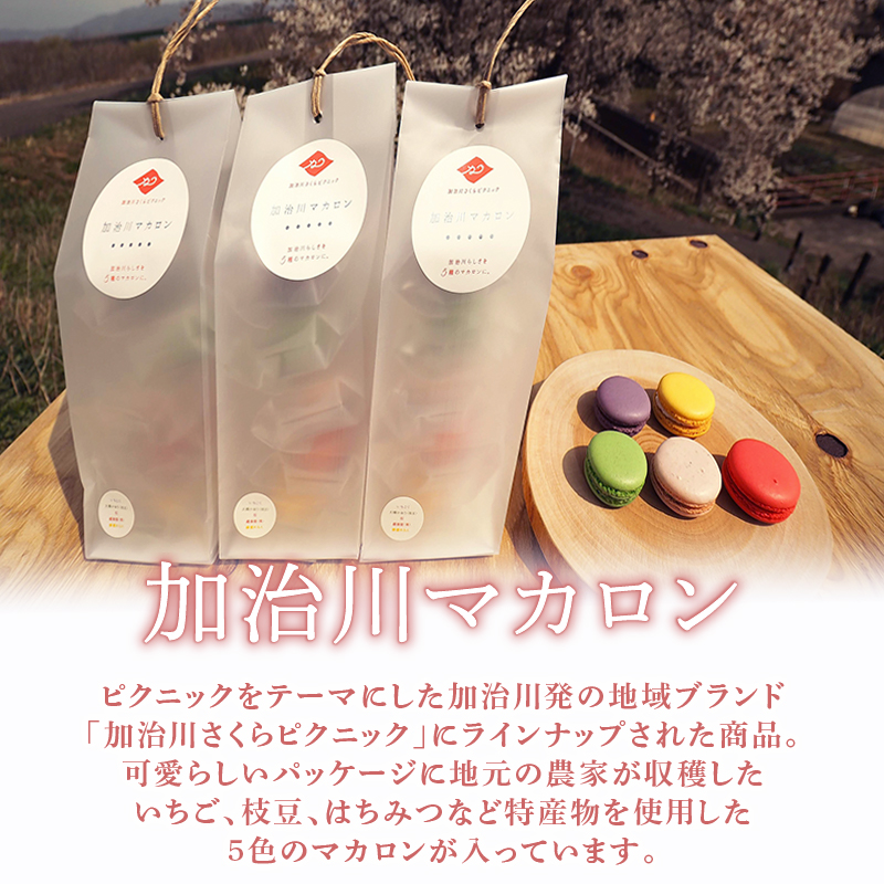 マカロン 1セット イチジク 枝豆 桜 苺 はちみつ レモン いちご えだまめ 洋菓子 菓子 お菓子 スイーツ 甘味 ギフト プレゼント お土産 新潟県 新発田市 sinpo002