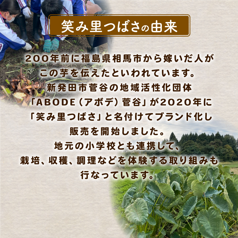 先行予約 里芋 2kg 笑み里つばさ さといも 煮物 産地直送 国産 農家直送 期間限定 数量限定 人気 限定 先行 予約 受付 事前予約 野菜 根菜 高橋農園  新潟県 新発田市 takahashi003