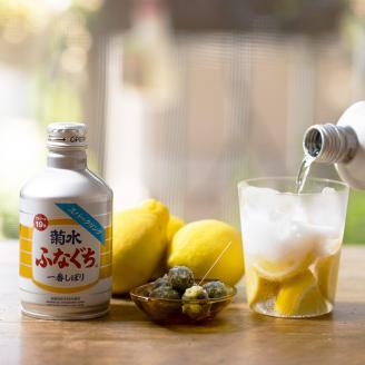 菊水ふなぐち スパークリング 270ml×24本　【 菊水 ふなぐち スパークリング 新潟県 新発田市 地酒 日本酒 炭酸 270ml 24本 生原酒 ふなスパ E96 】