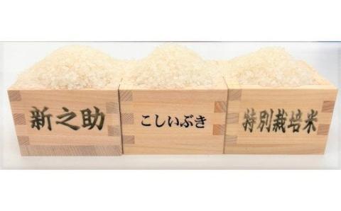 令和5年産 JA北新潟米 食べ比べセット 今摺米 【 新潟 新発田 米 食べ比べ 特別栽培米 コシヒカリ 新之助 こしいぶき 6kg 2kg 3袋 JA北新潟 今ずり米 D62 】