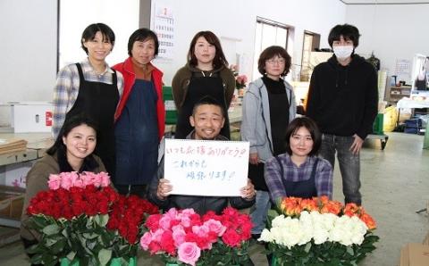 生産者直送！バラの花束 お任せMIX20本 【 バラ 生花 花束 フラワーアレンジメント 記念日 プレゼント 花 20本 MIX G01_03 】