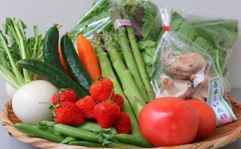 新発田産 旬の野菜セット【 JA北新潟 野菜セット 直売所 食育ソムリエ 旬 C08 】