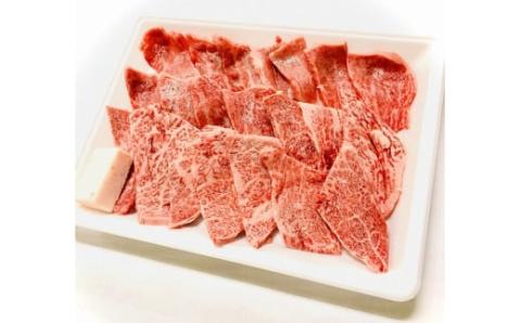 H11　先崎畜産　新発田牛ロース（焼肉用）500ｇ×２