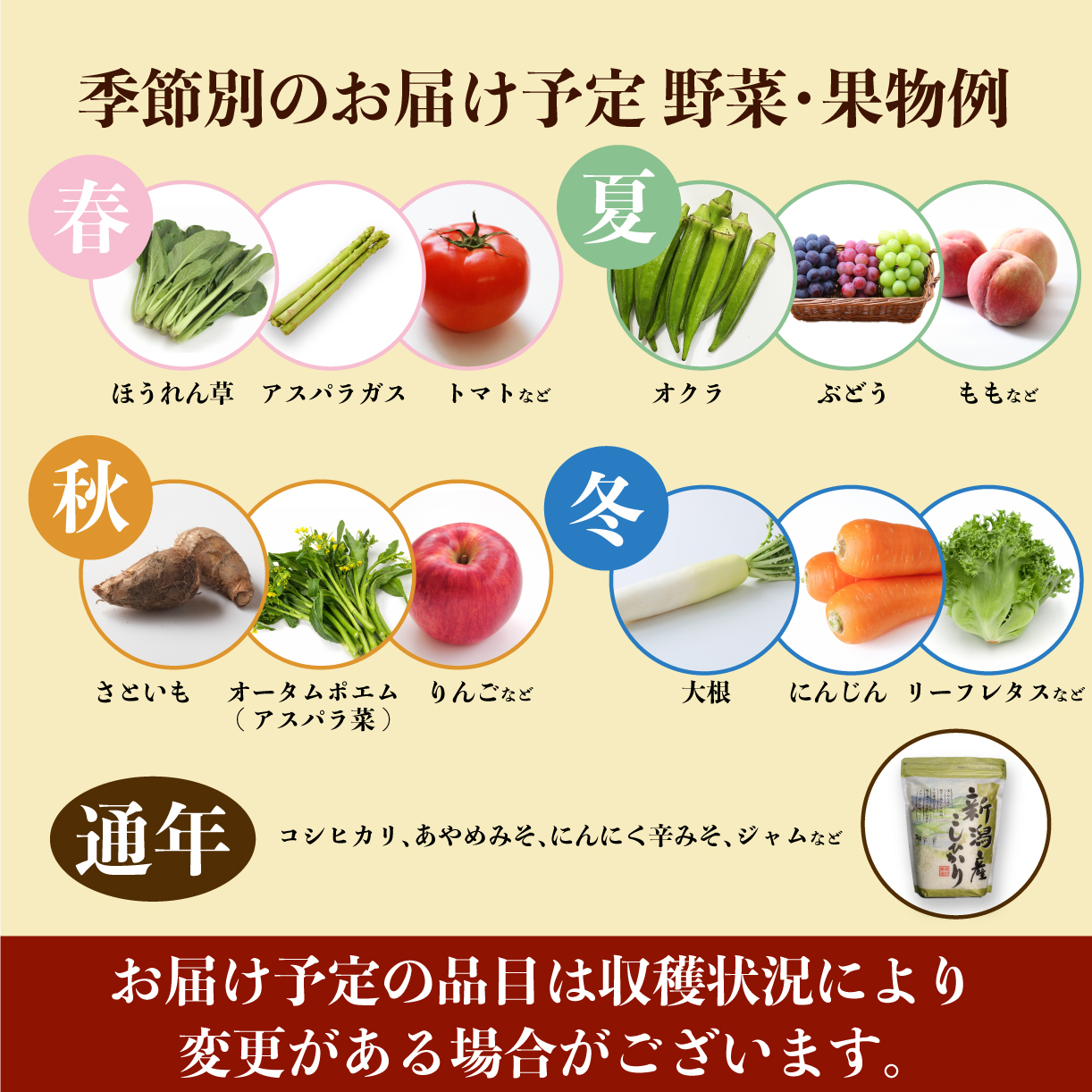 野菜 果物 旬 お楽しみセット 10~13種類 詰め合わせ ほうれん草 水菜 アスパラガス トマト オクラ ぶどう もも さといも オータムポエム りんご にんじん 大根 リーフレタス 米 コシヒカリ みそ にんにく辛みそ ジャム 新潟 新発田 C16_01