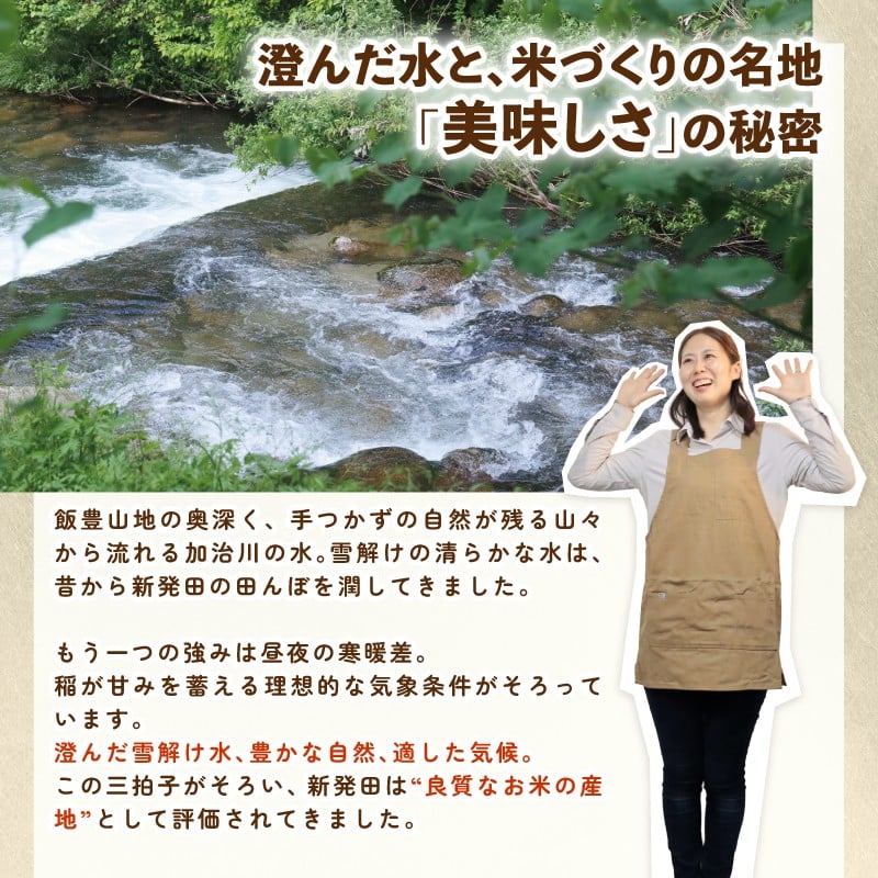【定期便】令和7年産 新潟県産 コシヒカリ 5㎏×3か月 新潟県 新潟産 定期便 新潟米 新発田産 新発田 お米 米 そうえん米コシヒカリ 5kg 15kg 3か月 定期便 数量限定 とんとん市場 せいだ 新潟県 新発田市 D38_04