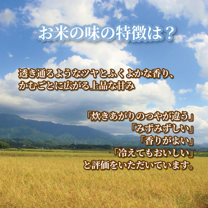 令和5年産 JA北新潟 特別栽培米コシヒカリ 5㎏×2袋 今摺米　【 新潟県産 新発田 特別栽培米 コシヒカリ 5kg 2袋 今ずり米 JA北新潟 10kg D50 】