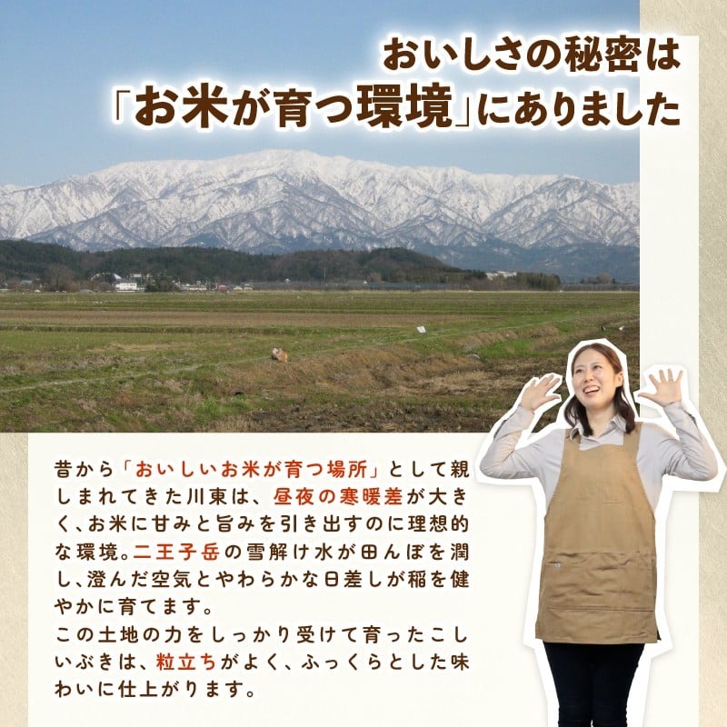 令和7年産 新潟県産こしいぶき 10kg 5kg×2袋 【 新潟県 新潟産 新潟米 新発田産 新発田 お米 米 こしいぶき とんとん市場 せいだ 5kg 10kg 数量限定 玄米 D55_05 】