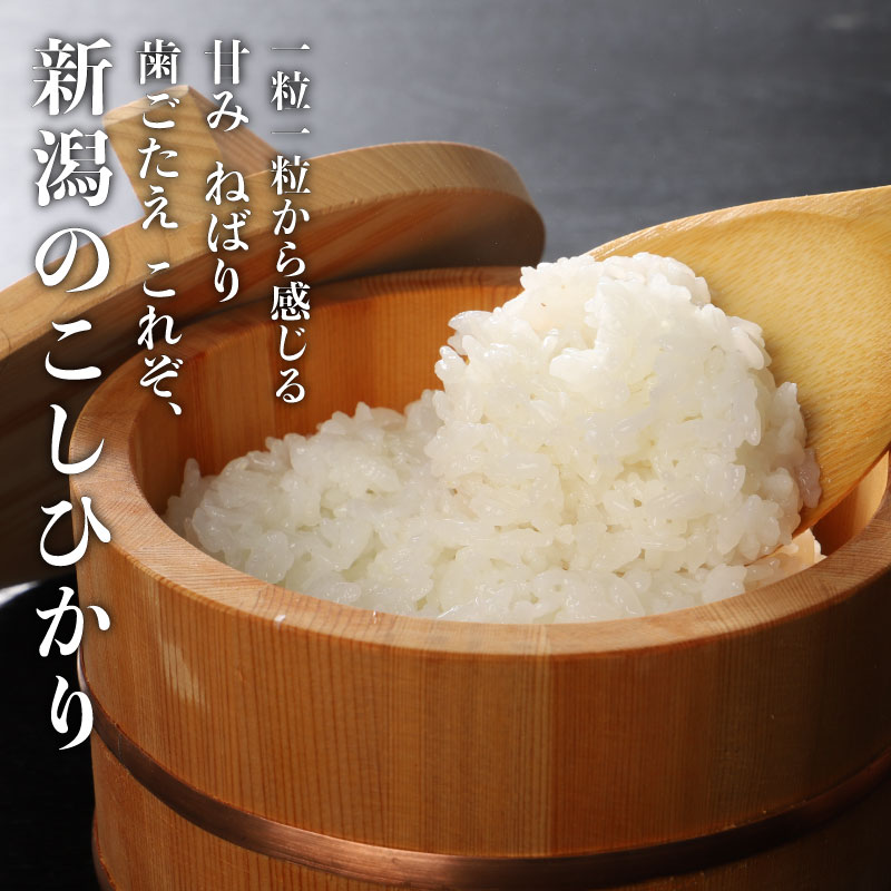 令和7年産 新潟県産 コシヒカリ 5kg 坂井ファーム 特別栽培米コシヒカリ 新潟 新発田 米 玄米 精米 白米 ご飯 おにぎり 弁当 こしひかり おこめ せいだ 新潟 新発田 D83_03