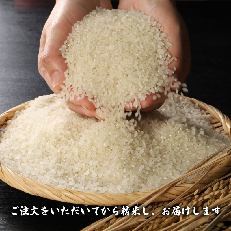 令和7年産 新潟県産こしいぶき 5kg 【 新潟県 新潟産 新潟米 新発田産 新発田 お米 米 こしいぶき とんとん市場 せいだ 5kg 数量限定 玄米 D85_04 】