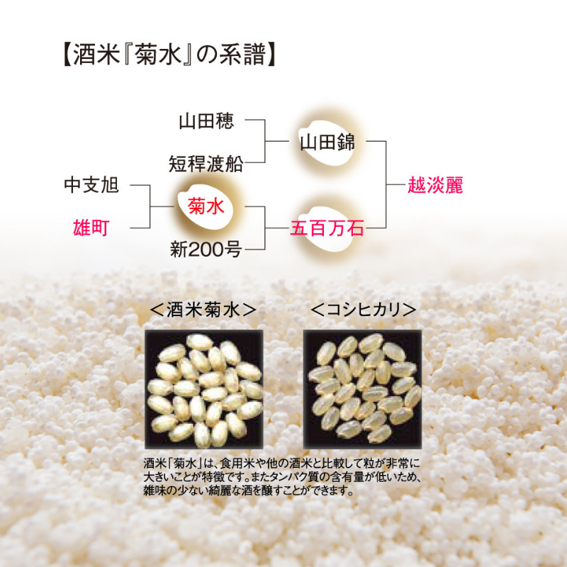 菊水 純米大吟醸原酒 酒米菊水 720ml ｜ 新潟県 新発田市 地酒 日本酒 菊水酒造 純米大吟醸 贈答 お中元 E32