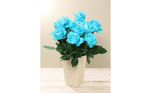 生産者直送！バラの花束 爽やかな水色の染めバラ10本 【 バラ 生花 花束 フラワーアレンジメント 記念日 母の日 父の日 ギフト プレゼント 花 10本 染めバラ 水色 G07_01 】