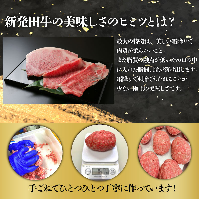 国産 牛 100％使用 真空 生ハンバーグ 5個入 160×5個 計800g 先崎畜産 新発田牛 【肉 加工品 国産 牛 100% 手捏ね 手ごね 生 ハンバーグ 冷凍 5個  800g のし 熨斗 H21-02