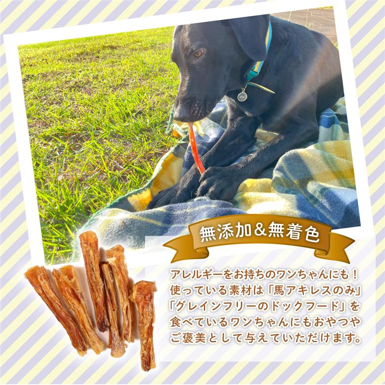 J04 ドッグフード　馬アキレスショート（400g×2袋）