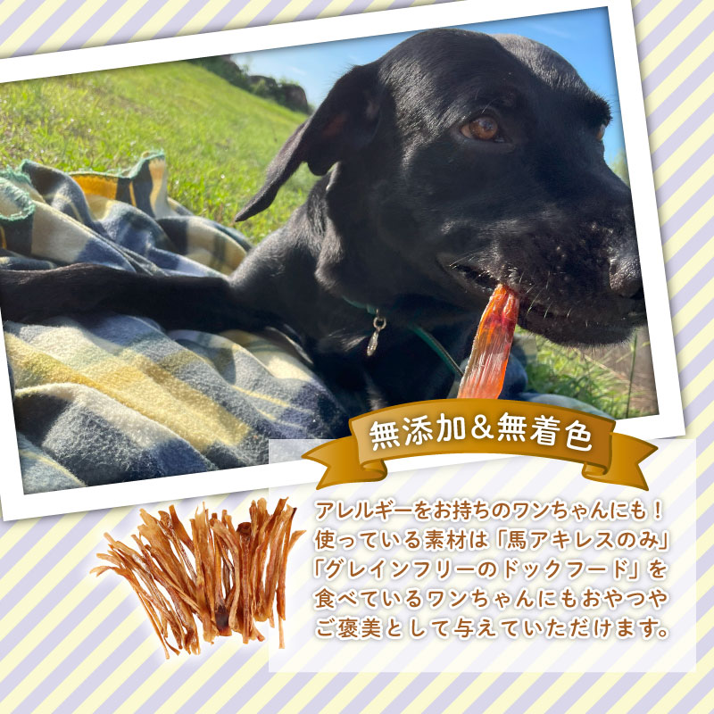 ドッグフード 馬アキレスロング 薄め 1kg 500g×2袋 【 馬 ドックフード アキレス ロング ペット おやつ ペット用品 犬用 500g 2袋 無添加 無着色 安心 安全 自然食品 ケーティーコモディティ KT 新潟県 新発田市 KT001 】