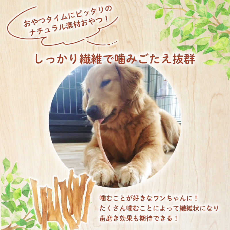 ドッグフード 牛アキレスロング 500g 【 牛 ドックフード アキレス ロング ペット おやつ ペット用品 犬用 無添加 無着色 国内製造 安心 安全 自然食品 ケーティーコモディティ KT 新潟県 新発田市 KT027 】