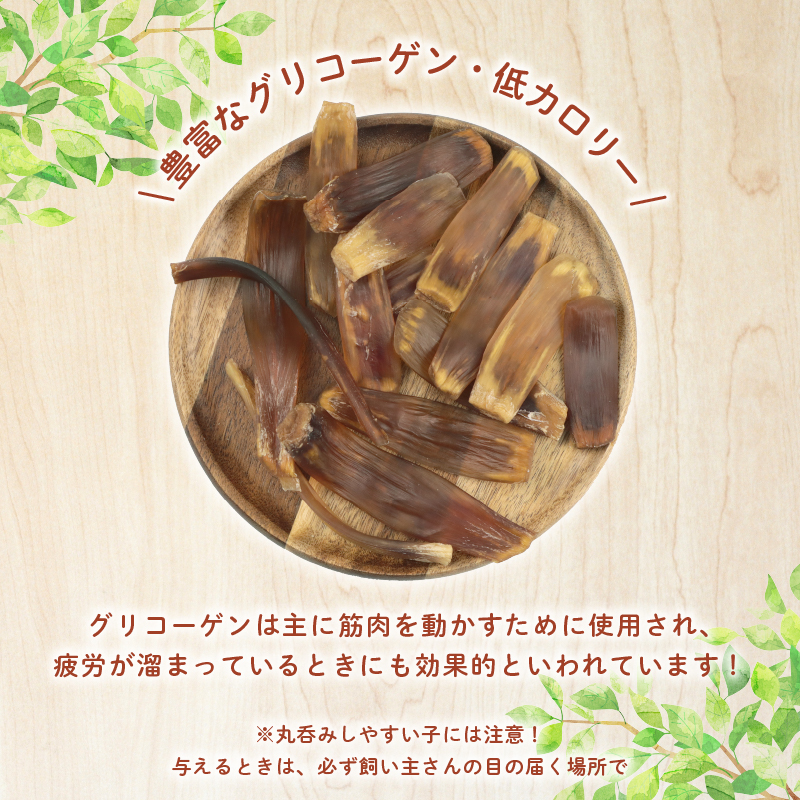 ドッグフード 馬アキレスショート平板 100g 【 馬 ドックフード アキレス ショート 平板 ペット おやつ ペット用品 犬用 無添加 無着色 国内製造 安心 安全 自然食品 ケーティーコモディティ KT 新潟県 新発田市 KT031 】