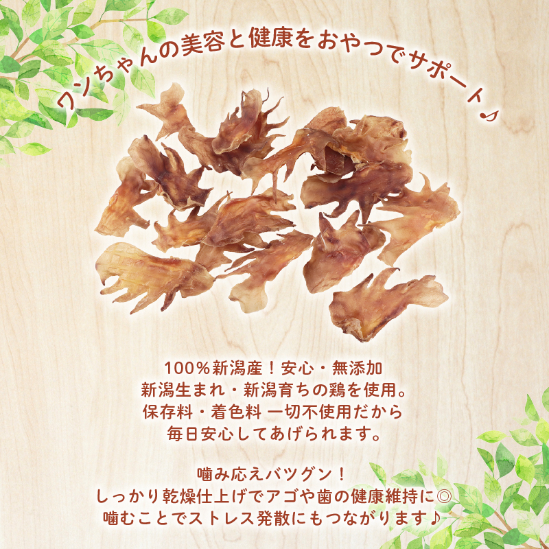 ドッグフード とさか細切り 600g 【 鶏 とさか ドックフード 細切り ペット おやつ ペット用品 犬用 無添加 無着色 国内製造 安心 安全 自然食品 ケーティーコモディティ KT 新潟県 新発田市 KT051 】