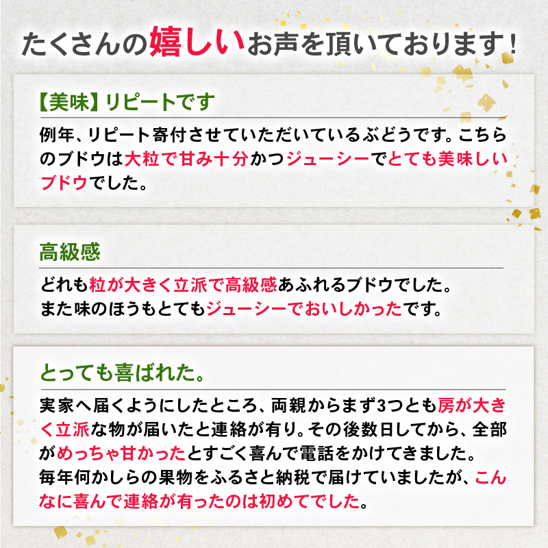 2026年先行予約 ぶどう セット 3種 ぶどう 詰め合わせ セット シャインマスカット ピオーネ クインニーナ 果物 くだもの フルーツ 葡萄 ブドウ ぶどう マスカット シャイン マスカット 髙橋農園 新潟県 新発田市 C12_01