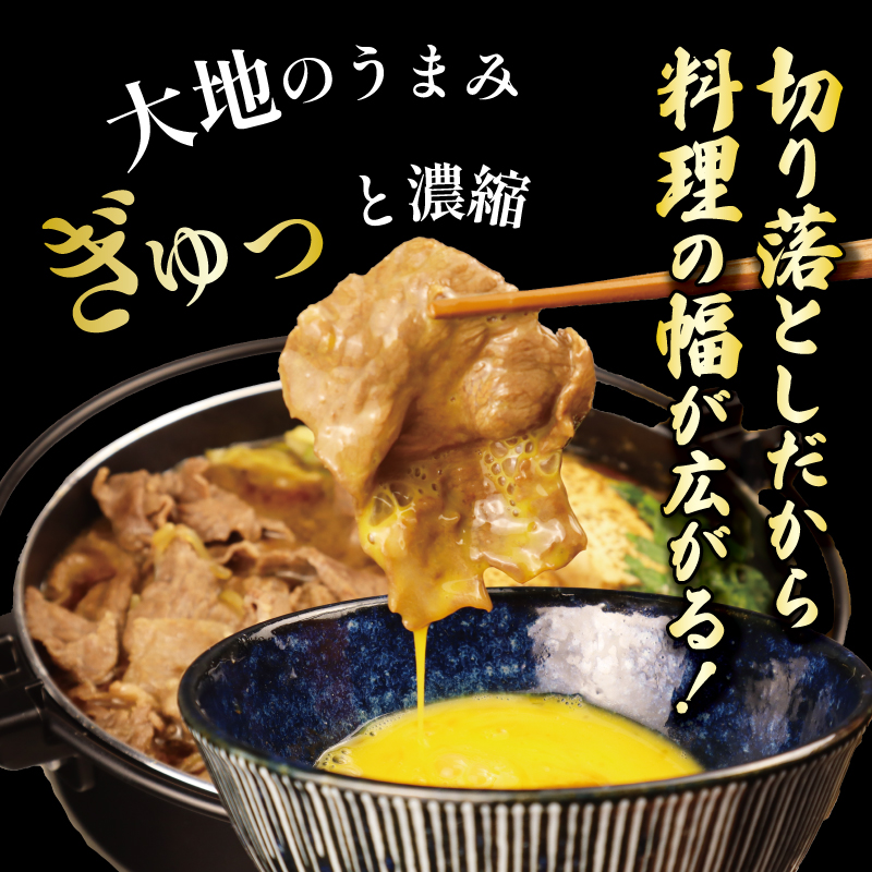 【定期便】 切り落とし 250g×3回 計750g 新発田牛 黒毛和牛 霜降り 和牛 ブランド牛 国産 しゃぶしゃぶ 小間切れ 小分け 贈答 お歳暮 新潟 新発田 新潟県 新発田市 近江牛 神戸牛 松阪牛 米沢牛 三大和牛 に負けない アルビレックス アルビレックス新潟 えのもとミート enomoto023