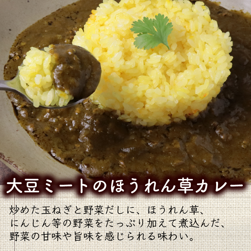 カゴメ Plant Based 大豆ミートのほうれん草カレー 10個入 大豆ミート ほうれん草カレー カレー レトルト レトルト食品 野菜 豆 プラントベース 植物性 植物由来 maruyama025