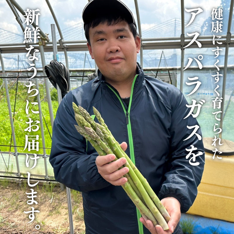 【先行予約】アスパラガス  1kg  約 40本	 野菜 旬 野菜 期間限定 数量限定 甘い 太い 柔らかい 特産品 nozofarm001