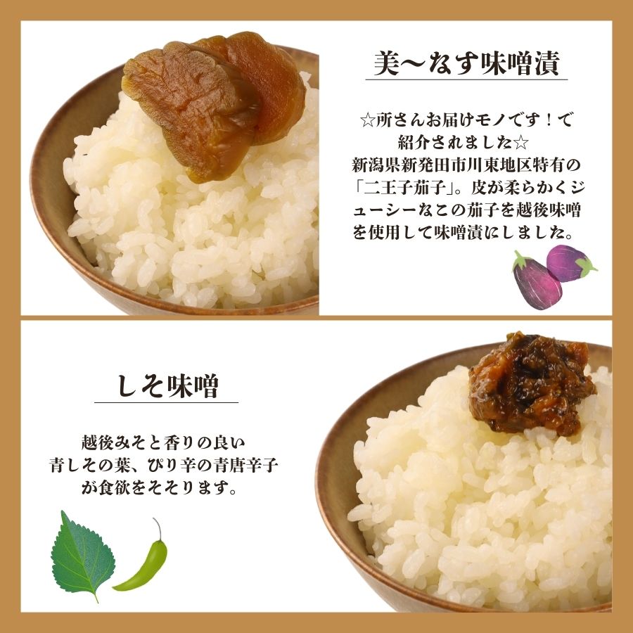 つけもの 5点 セット さくまのお漬物5点セット 美～なす 味噌漬け 奈良漬 しそ 紫蘇 味噌 かつお だし わらび 芋 つる 漬物 漬け物 人気 野菜 佐久間食品 新潟県 新発田市 sakuma001