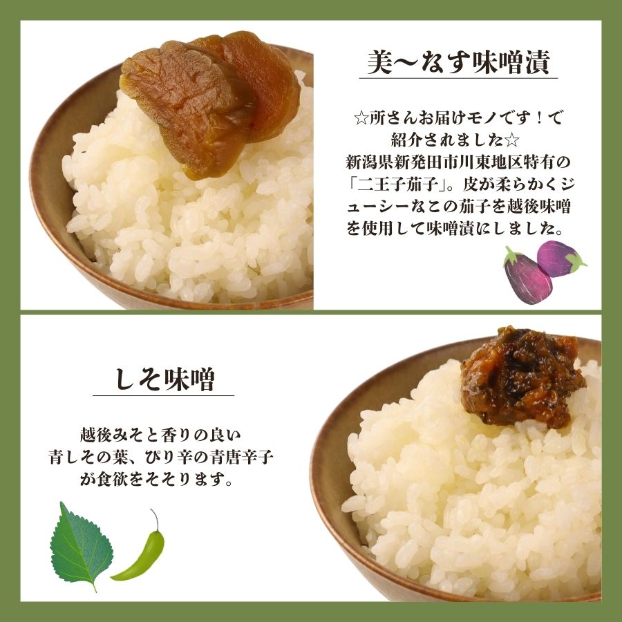 つけもの 8点 セット さくまのお漬物8点セット 美～なす 味噌漬け 奈良