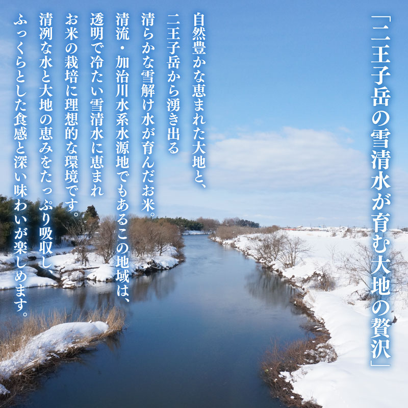 令和7年産 新潟県産 コシヒカリ 5kg 数量限定 特別栽培米 二王子米 新潟産 新潟米 新発田産 新発田 お米 米 kome 白米 ご飯 こめ ごはん ライス ふるさと納税米 コシヒカリ お弁当 食品 せいだ とんとん市場 ブランド米 人気米 玄米 新潟県 新発田市 seida002_02