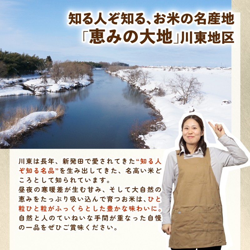 令和7年産 新潟県産 コシヒカリ 10kg 5kg×2袋 数量限定 特別栽培米 二王子米 新潟産 新潟米 新発田産 新発田 お米 米 kome 白米 ご飯 こめ ごはん ライス ふるさと納税米 コシヒカリ お弁当 食品 せいだ とんとん市場 ブランド米 人気米 玄米 新潟県 新発田市 seida003_02