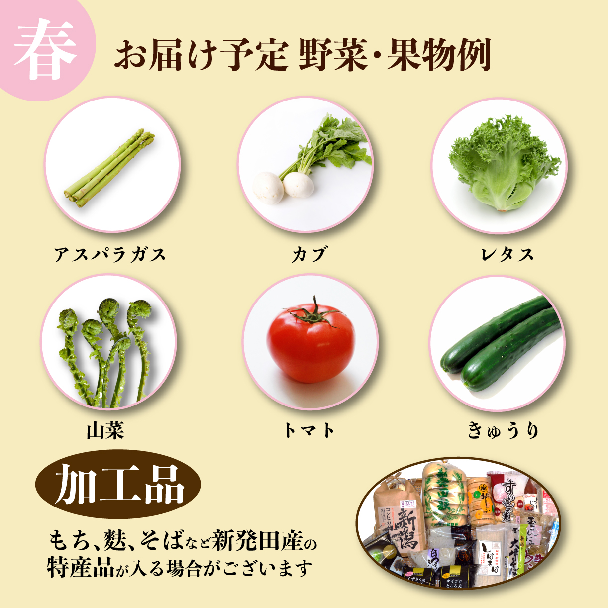 野菜 定期便 3回 8～12種類 旬 おまかせ 野菜BOX 詰め合わせ 野菜定期便 ふるさと納税野菜 やさい ていばん 詰め合わせ セット 産地直送 新鮮 新潟 新発田 seida009_01
