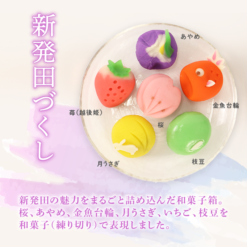 マカロン＆練切り しばたピクニック＆おみやげセット マカロン