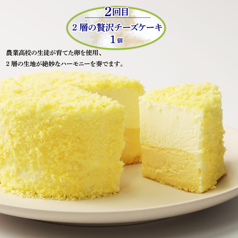 スイーツ 定期便 全3回 チーズケーキ ガトーショコラ モンブラン ロールケーキ 抹茶 ココア 葛アイス アイス あんこ どら焼き なまどらやき お菓子 デザート おやつ 新柳本店 新潟 新発田 sinyanagi003