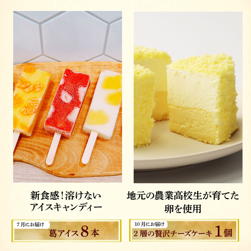 スイーツ 定期便 全4回 チーズケーキ ガトーショコラ モンブラン 葛アイス アイス チーズ お菓子 デザート おやつ 新柳本店 新潟 新発田 sinyanagi004