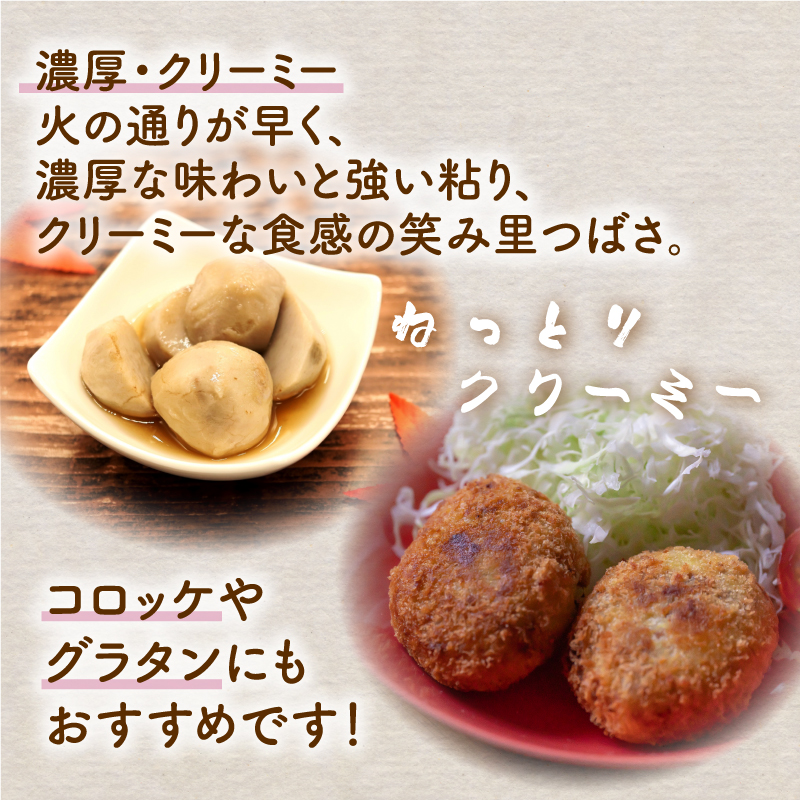 先行予約 里芋 2kg 笑み里つばさ さといも 煮物 産地直送 国産 農家直送 期間限定 数量限定 人気 限定 先行 予約 受付 事前予約 野菜 根菜 高橋農園  新潟県 新発田市 takahashi003