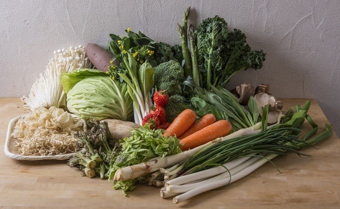 新発田産 旬の野菜セット【 JA北新潟 野菜セット 直売所 食育ソムリエ 旬 C08 】