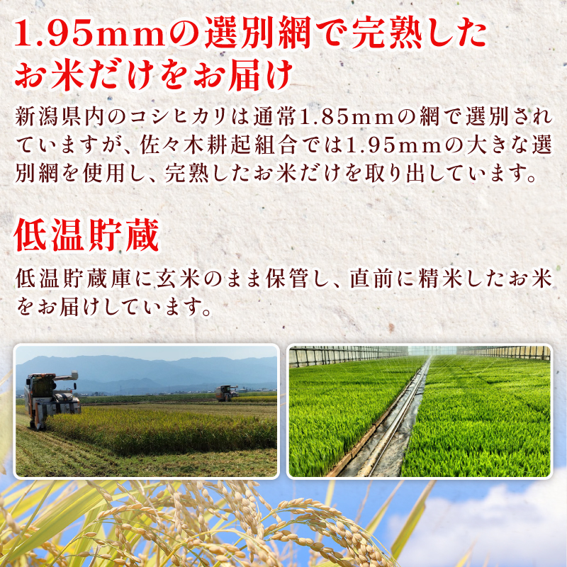 餅 お餅 もち えちごへいや 杵つき餅 たっぷり満足セット もち 草もち 豆もち よもぎ ゴマ ごま 正月 おせち もち 季節限定 正月 おせち 白もち コシヒカリ 米 防災 備蓄 保存食 非常食 正月 餅 おせち 佐々木耕起 お餅 もち kome 年末 年始 新年 お雑煮 新潟県 新潟 新発田 C37_03