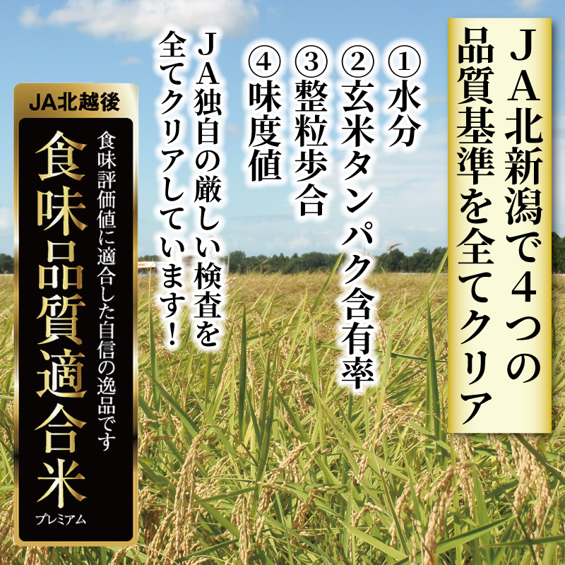 令和5年産 JA北新潟コシヒカリ5㎏×2袋 特別栽培米　【 新潟県産 新発田産 米 コシヒカリ JA北新潟 特別栽培米 5kg 2袋 10kg D04 】