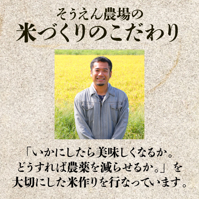 【定期便】 令和7年産 そうえん米コシヒカリ 10㎏×6か月  【 新潟県 新潟産 新潟米 新発田産 新発田 お米 米 コシヒカリ とんとん市場 せいだ そうえん米 10kg 60kg 6か月 半年 定期便 数量限定 D12_04
