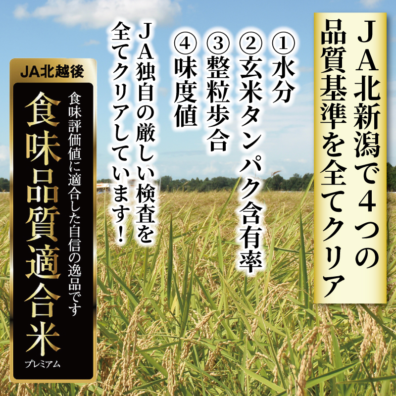 令和5年産 JA北新潟 特別栽培米コシヒカリ 5㎏×2袋 今摺米　【 新潟県産 新発田 特別栽培米 コシヒカリ 5kg 2袋 今ずり米 JA北新潟 10kg D50 】
