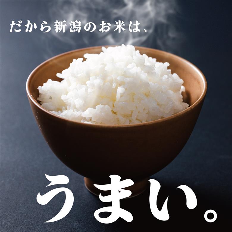 【定期便】 令和7年産 新潟産こしいぶき 10㎏×6か月 【 新潟県 新潟産 新潟米 新発田産 新発田 お米 米 こしいぶき とんとん市場 せいだ 5kg 10kg 60kg 2袋 6か月 半年 定期便 数量限定 玄米 D57_04 】
